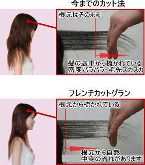 フレンチカットグランの特徴