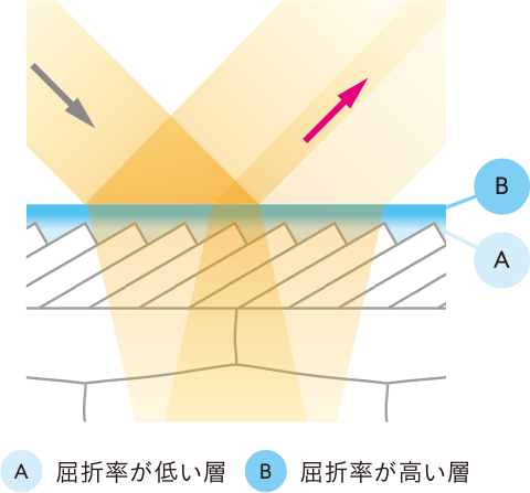 光の屈折を使って艶髪をつくる
