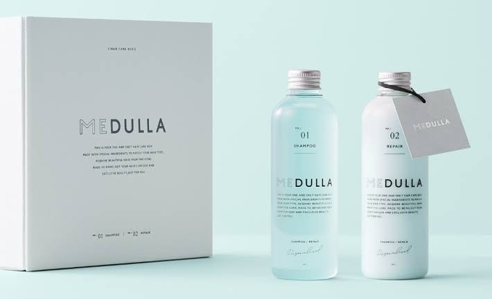 ＭＥＤＵＬＬＡ　メデュラ