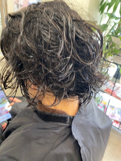 Before:縮毛矯正をやめて伸びた状態で扱いにくい髪