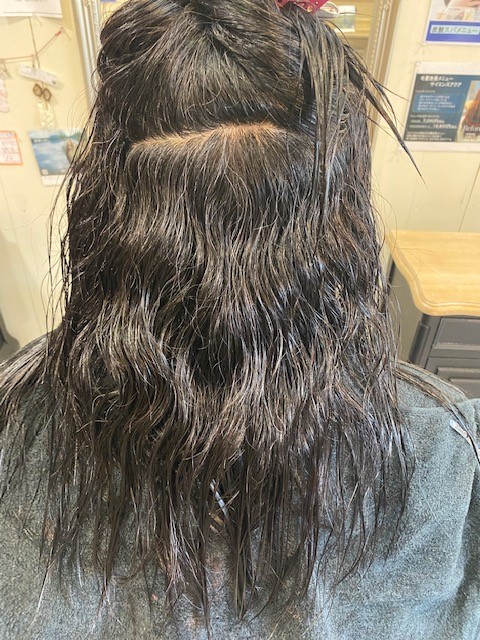 クセ毛で広がりパサつきのある施術前の髪の状態